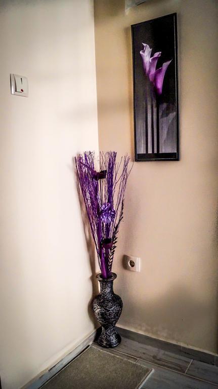 Priseltsi Guest House Meridi מראה חיצוני תמונה
